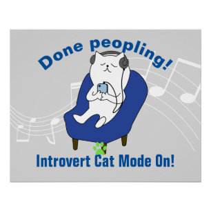 Introverte Kat Perfect Poster
