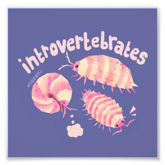 Introvertebrates isopods - kleine kunstdruk foto afdruk