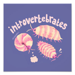 Introvertebrates isopods - medium art print foto afdruk