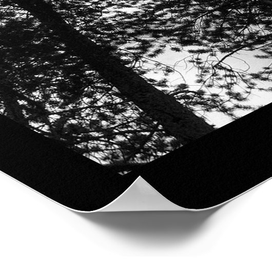 Intuïtief Poster (Hoek)