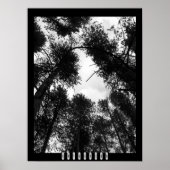 Intuïtief Poster (Voorkant)