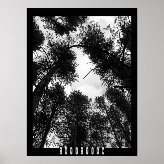 Intuïtief Poster (Voorkant)