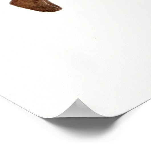 Inuit combs uit de noordwestkust van Amerika Poster (Hoek)