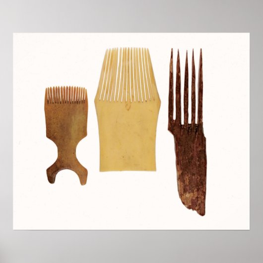 Inuit combs uit de noordwestkust van Amerika Poster (Voorkant)