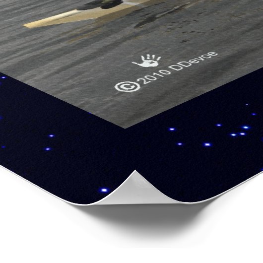 Inuit Kayak Poster (Hoek)