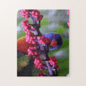 Invallen voor een snack - Rainbow Loriket Legpuzzel (Verticaal)