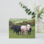 Invasie Briefkaart (Staand voorkant)