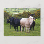 Invasie Briefkaart (Voorkant)