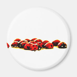 invasie van ladybug magneet