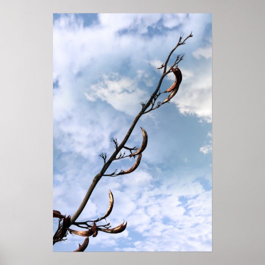 invasief perreniaal japans geknoopt plant poster (Voorkant)