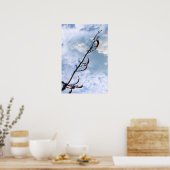 invasief perreniaal japans geknoopt plant poster (Keuken)