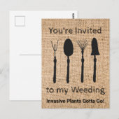 Invasieve Planten Briefkaart (Voorkant / Achterkant)