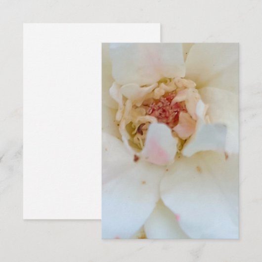 Inventions card bedankkaart (Voorkant / Achterkant)