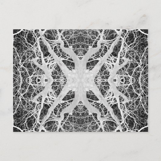 Inverse Briefkaart van Treetop Spider op het Web (Voorkant)