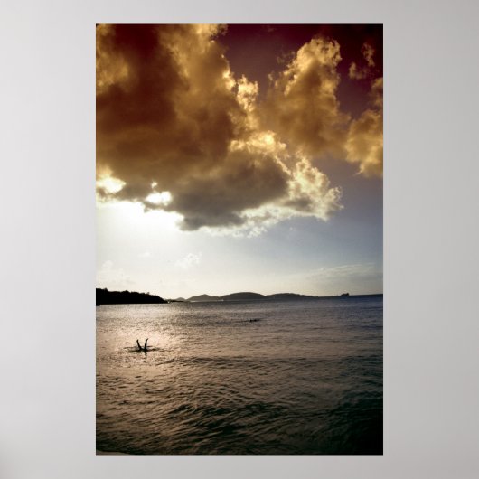 Inversie-onderdompeling Poster (Voorkant)