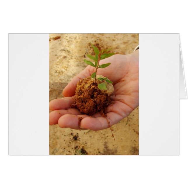 Investeren voor groei (Voorkant Horizontaal)