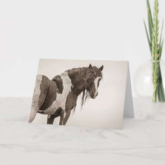 "Invincible" Note-Kaart Kaart (Voorkant)