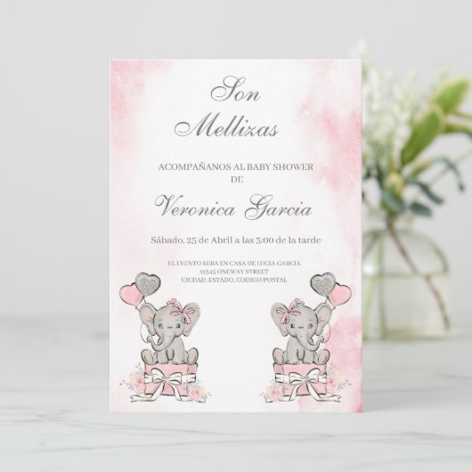 Invitacion de baby shower mellizas kaart (Staand voorkant)