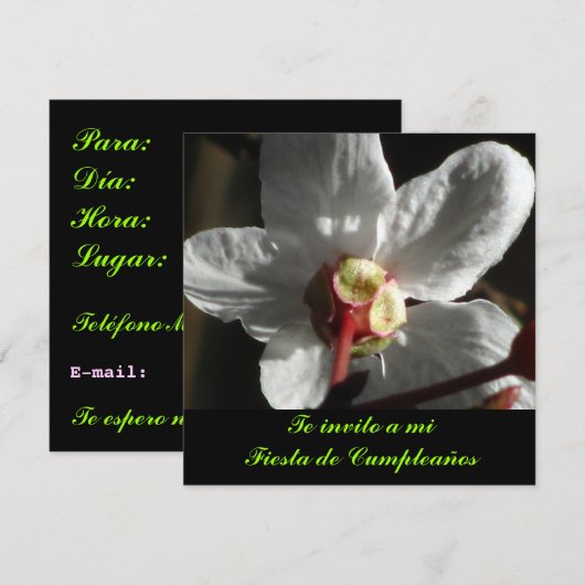 Invitación - De invito a mi Fiesta de Cumpleaños Kaart (Voorkant / Achterkant)