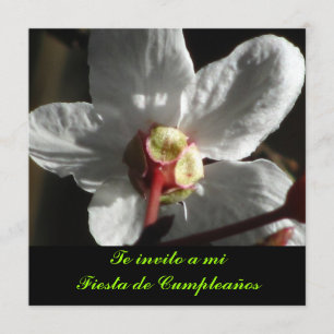 Invitación - De invito a mi Fiesta de Cumpleaños Kaart
