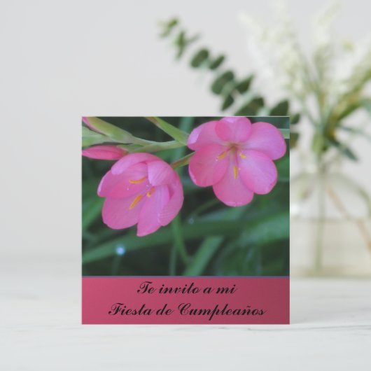 Invitación - De invito a mi Fiesta de Cumpleaños Kaart (Staand voorkant)
