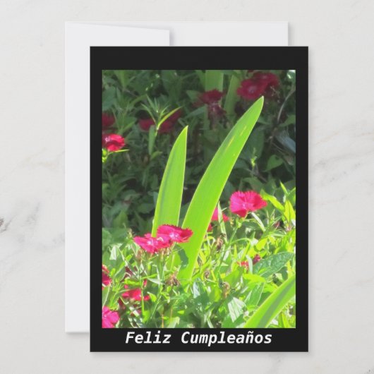 Invitación - Feliz Cumpleaños - Roze bloemen Kaart (Voorkant)