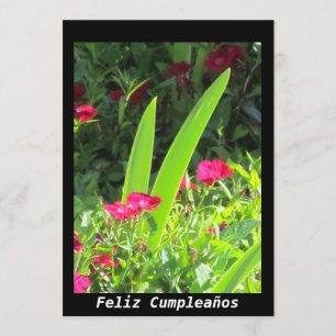 Invitación - Feliz Cumpleaños - Roze bloemen Kaart