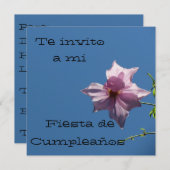 Invitación - Fiesta de Cumpleaños - Azul y Rosa Kaart (Voorkant / Achterkant)