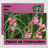 Invitación - Fiesta de Cumpleaños Kaart (Voorkant / Achterkant)