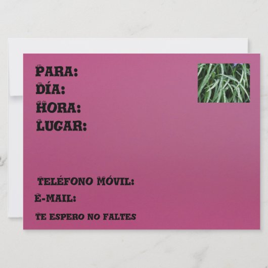 Invitación - Fiesta de Cumpleaños Kaart (Achterkant)