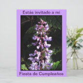 Invitación - Fiesta de Cumpleaños - Púrpura Kaart (Staand voorkant)