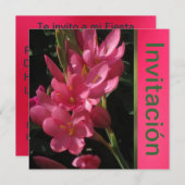Invitación - Fiesta de Cumpleaños - Rosa Kaart (Voorkant / Achterkant)