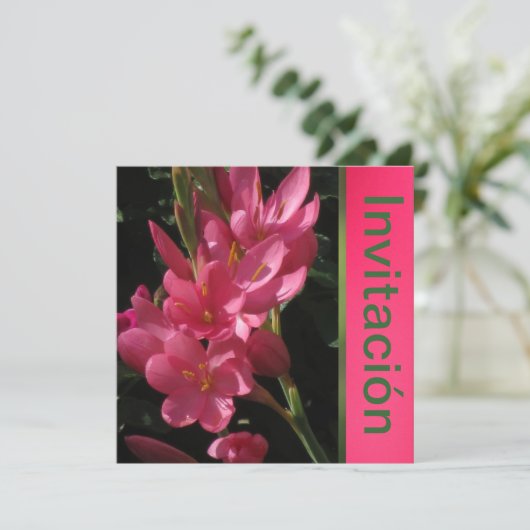 Invitación - Fiesta de Cumpleaños - Rosa Kaart (Staand voorkant)