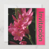 Invitación - Fiesta de Cumpleaños - Rosa Kaart (Voorkant)