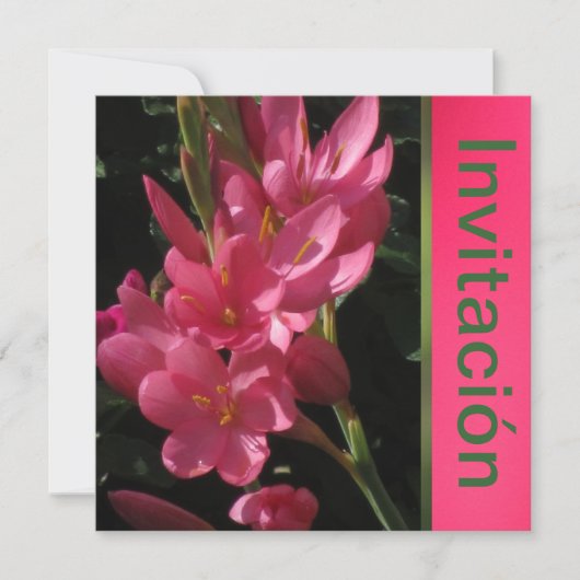 Invitación - Fiesta de Cumpleaños - Rosa Kaart (Voorkant)