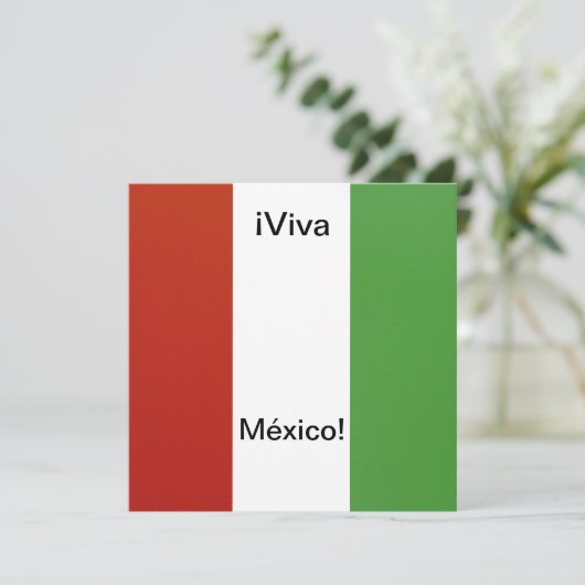 Invitación - Fiesta de Cumpleaños -© Viva México! Kaart (Staand voorkant)