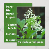 Invitación -Te invito a mi Fiesta - Flores Blancas Kaart (Voorkant / Achterkant)