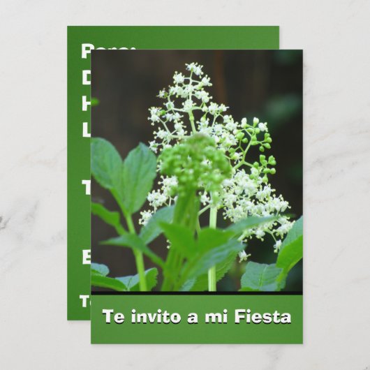 Invitación -Te invito a mi Fiesta - Flores Blancas Kaart (Voorkant / Achterkant)