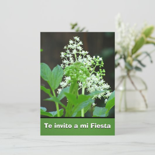 Invitación -Te invito a mi Fiesta - Flores Blancas Kaart (Staand voorkant)