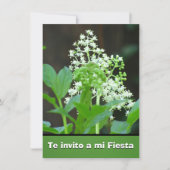 Invitación -Te invito a mi Fiesta - Flores Blancas Kaart (Voorkant)