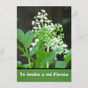Invitación -Te invito a mi Fiesta - Flores Blancas Kaart