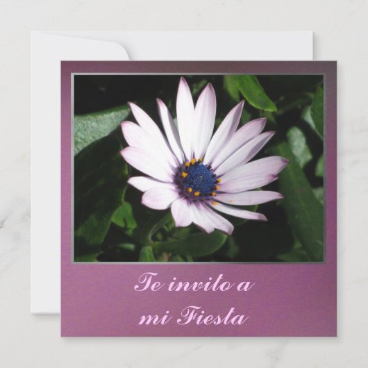 Invitación - Te invito a mi Fiesta - Margarita Kaart (Voorkant)