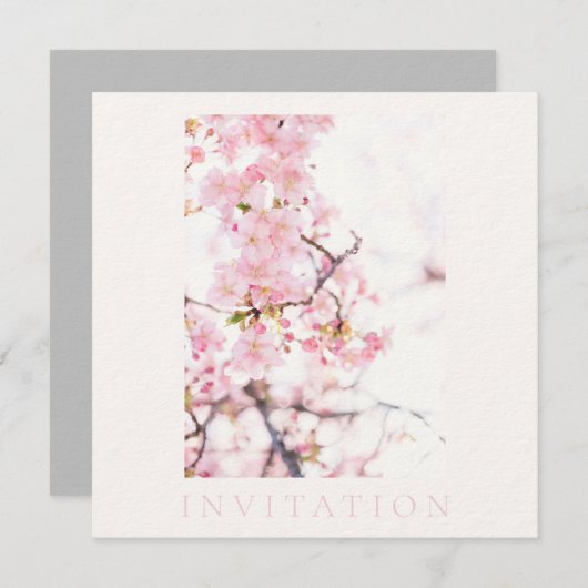 INVITATIE : CHERRY BLOSSOM BRANCH KAART (Voorkant / Achterkant)