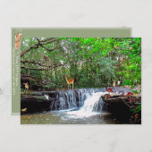 Invitatie van betoverende boskikkers kaart (Voorkant / Achterkant)