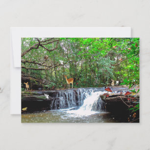 Invitatie van betoverende boskikkers kaart