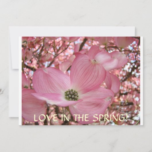 INVITATIES Dogwood Flowers kondiging Kaarten (Voorkant)