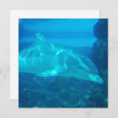 Invitaties voor onderwaterdolfijnen kaart (Voorkant / Achterkant)