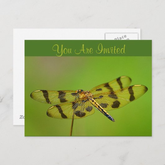Invitation Dragonfly Uitnodiging Briefkaart (Voorkant / Achterkant)