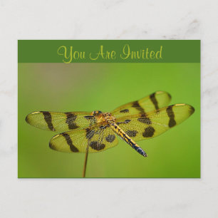 Invitation Dragonfly Uitnodiging Briefkaart