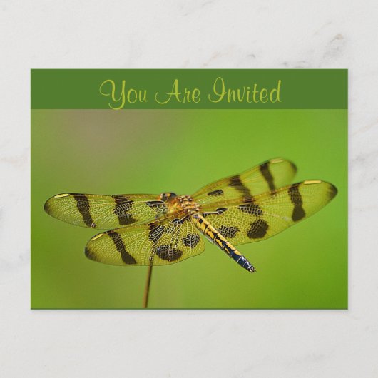 Invitation Dragonfly Uitnodiging Briefkaart (Voorkant)